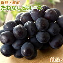 【ふるさと納税】【新鮮・産直】和歌山有田産たねなしピオーネ2kg※2020年8月下旬~9月下旬頃に順次発送予定※離島、北海道、沖縄県はお届けできません