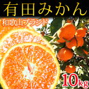 【ふるさと納税】完熟有田みかん 10kg(2Lサイズ)※2019年11月下旬〜2020年1月下旬頃に順次発送予定