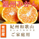 【ふるさと納税】【ご家庭用訳アリ】紀州有田産完熟温州みかん ...
