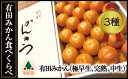 【ふるさと納税】【定期便】【みかん三昧】有田みかん・食べくら...