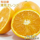 【ふるさと納税】【濃厚】有田産清見オレンジ約7kg(サイズおまかせ・秀品)※2021年2月上旬~4月上旬頃に順次発送予定 ※着日指定送不可