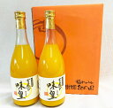 【ふるさと納税】有田みかん果汁100%ジュース「味皇」 72...