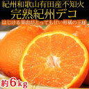【ふるさと納税】果肉プリプリ♪ 完熟紀州デコ(不知火) 約...