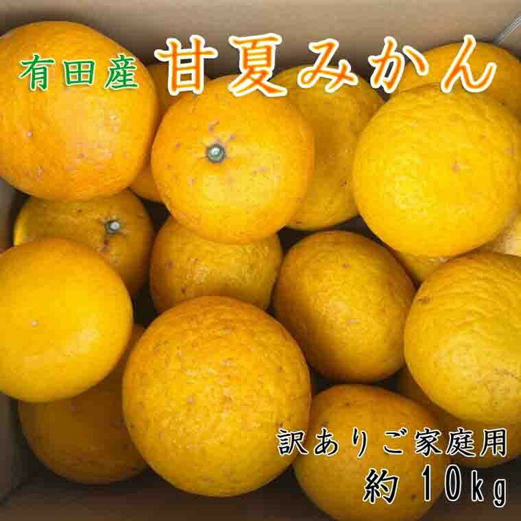 【ふるさと納税】有田産訳ありご家庭用甘夏みかん約10kg（サイズ混合）｜あまなつ 柑橘 果物 フルーツ 産地直送※2023年4月下旬?5月下旬頃に順次発送予定