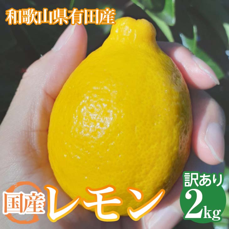 【ふるさと納税】【有田川町】和歌山県産訳あり国産レモン2kg※2023年1月中旬?2月中旬頃に順次発送予定