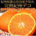 【ふるさと納税】果肉プリプリ♪ 完熟紀州デコ(不知火) 約5...