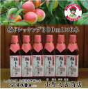 【ふるさと納税】梅ドレッシング 6本組紀州南高梅果肉入り(ビ...