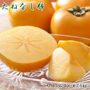 【ふるさと納税】【秋の味覚】和歌山産たねなし柿(M~2Lサイズおまかせ)約7.5kg※2021年9月中旬~11月上旬頃に順次発送予定