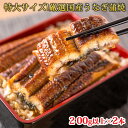 【ふるさと納税】特大サイズふっくら柔らか 国産うなぎ蒲焼き ...