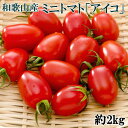 【ふるさと納税】【3月出荷分】和歌山産ミニトマト「アイコトマ...