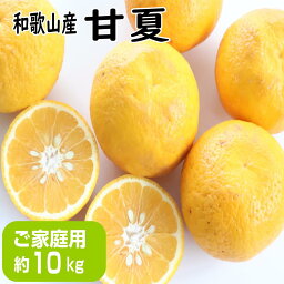 【ふるさと納税】【ご家庭用】甘夏（あまなつ）約10kg 和歌山産 | 柑橘 フルーツ 果物 くだもの 食品 人気 おすすめ 送料無料