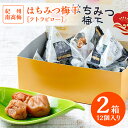 【ふるさと納税】紀州南高梅 はちみつ梅干(テトラピロー)12個入り【2箱】※離島への配送不可(北海道、沖縄本島も不可)※着日指定送不可