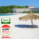 和歌山県白浜町の宿泊に使える 楽天トラベルクーポン 寄付額 100,000円 | 和歌山県 和歌山 白浜町 トラベルクーポン 旅行券 ギフト 宿泊券 宿泊補助券 旅行 トラベル クーポン チケット 金券 ホテル 旅館 リゾート 国内旅行 宿泊 観光 宿 楽天トラベル 温泉