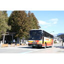 【ふるさと納税】定期観光バス 熊野三山めぐりコース(お弁当付き) | 和歌山県 和歌山 那智勝浦町 返礼品 旅行 チケット 観光 金券 国内旅行 トラベル トラベルクーポン クーポン 乗車券 バス 観光バス バス旅行 日帰り 旅行券 観光バス旅行 バスツアー 日帰りバスツアー