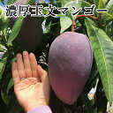 【ふるさと納税】【希少マンゴー】濃厚玉文マンゴー 約1kg(1~2玉)