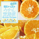 【ふるさと納税】【3か月定期便】初夏にお届け!旬のみかん定期便