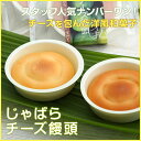 【ふるさと納税】★じゃばらチーズ饅頭