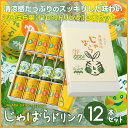 【ふるさと納税】★じゃばらドリンク12本セット...