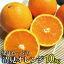 【ふるさと納税】果汁たっぷり!清見オレンジ 約10kg 有機質肥料100% ※2022年3月上旬より順次発送予定(お届け日指定不可)