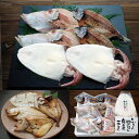【ふるさと納税】山陰名産干物4種詰め合わせAセット(のどぐろ...