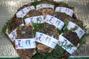 【ふるさと納税】鳥取県産天然岩がき(夏輝)【期間限定】