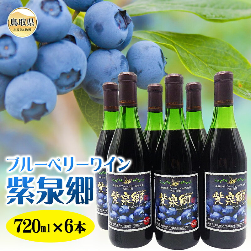 【ふるさと納税】E24-005 ブルーベリーワイン紫泉郷720ml 6本セット【数量限定】