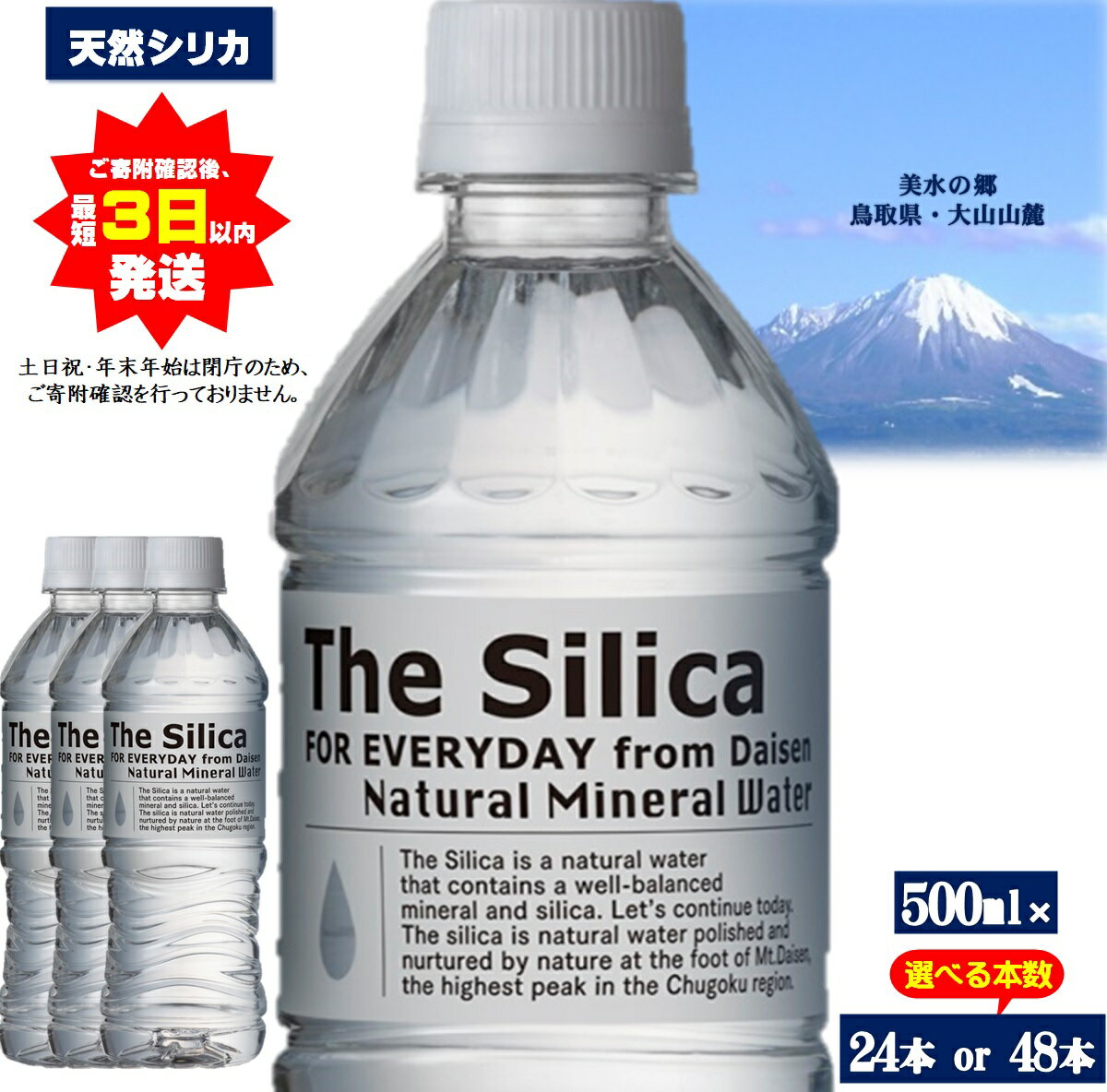 【<strong>ふるさと納税</strong>】選べる本数！シリカ水 The Silica シリカ 水 天然水【500ml×24本 or 48本】お水 ミネラルウォーター ケース ケイ素 箱 まとめ買い ナチュラルミネラルウォーター 大山山麓のおいしい天然水 軟水 ザ・シリカ 鳥取県 米子市 人気 6000円 1万 10000円