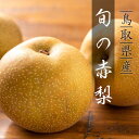 【ふるさと納税】旬の赤梨セット 4kg