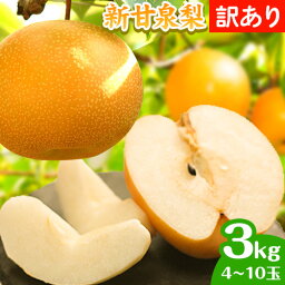 【ふるさと納税】【先行予約 】訳あり なし 梨 新甘泉 約3kg (4~10玉) 高間商店《2024年8月下旬から10月上旬頃出荷》 鳥取県 八頭町 梨 なし ナシ 果物 フルーツ ご家庭用 訳あり 先行予約 ふるさと納税 送料無料 甘い 果実 果汁 デザート <strong>新甘泉梨</strong> 赤梨 冷蔵便