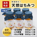 【ふるさと納税】Y047 八頭町産 天然はちみつセット(1年分)