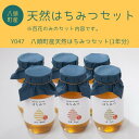 【ふるさと納税】【百花のみ】Y047 八頭町産 天然はちみつセット(1年分)