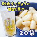 【ふるさと納税】砂丘らっきょうの甘酢漬け(20袋)