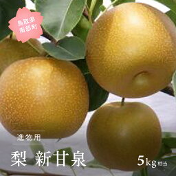 【ふるさと納税】<strong>新甘泉</strong>［梨］（進物用<strong>5kg</strong>箱）8月下旬出荷予定＜数量限定＞ 梨 なし フルーツ 鳥取県南部町