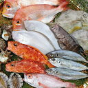 【ふるさと納税】423.浜田の旬のおすすめセット(鮮魚)