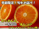 【ふるさと納税】 果物 フルーツ 島根県産 A075 とっさんのちょい赤オレンジ(ブラッドオレンジ:タロッコ種)(配達指定日不可)