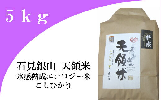 【ふるさと納税】 米 コシヒカリ 新米 島根 A032 石見銀山天領米（氷感熟成エコロジー米こしひかり）（令和元年産）　5kg