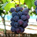【ふるさと納税】種なしピオーネ 2kg【8月下旬〜9月中旬発...