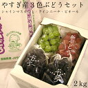 【ふるさと納税】やすぎ産3色ぶどうセット 2kg【9月発送】...