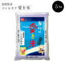 【ふるさと納税】 BG無洗米 コシヒカリ 5kg 米 無洗米...