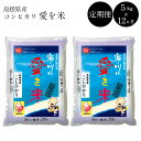 【ふるさと納税】BG無洗米(定期)コシヒカリ 5kg/12ヵ...