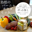 【ふるさと納税】 バーニャカウダ セット 野菜 ソースのセッ...