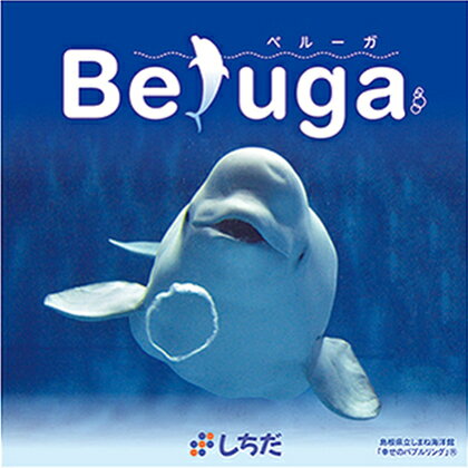 しまね海洋館アクアスがモチーフとなった癒やしのCD「Beluga」　【雑貨・日用品・本・DVD】