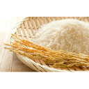 【ふるさと納税】雲南産きぬむすめ10kg(5kg×2) 【米...
