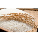 【ふるさと納税】島根県雲南産コシヒカリ10kg (5kg×2...
