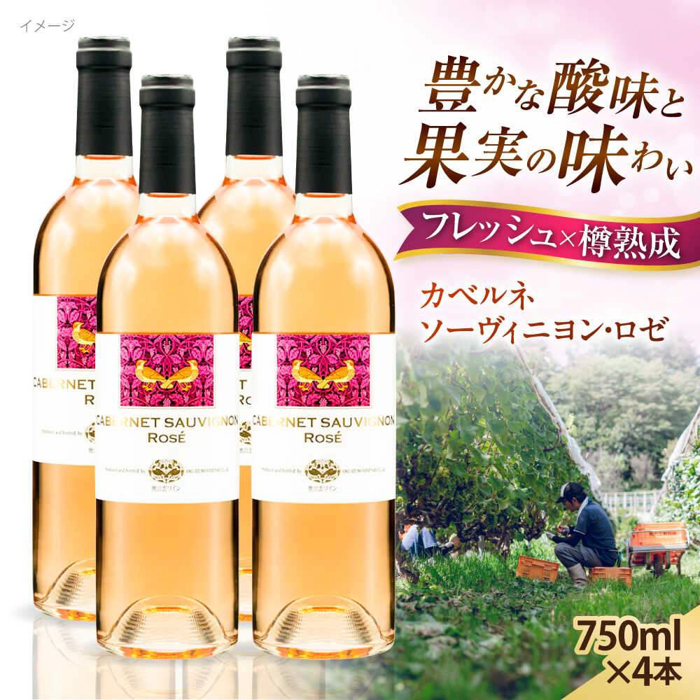 【ふるさと納税】奥出雲葡萄園 カベルネソーヴィニヨン・ロゼ 4本セット 国産 ワイン セット 島根県雲南市/有限会社奥出雲葡萄園[AICS021] ロゼワイン 熟成 日本ワイン 国産ワイン 島根ワイン ブドウ 葡萄 お酒 酒 フルーティー 冷蔵 贈り物 人気 おすすめ 低温発酵