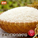 【ふるさと納税】令和元年産新米!邑南町産きぬむすめ10kg