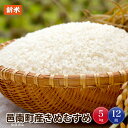 【ふるさと納税】【定期便-12ヶ月連続お届け】令和元年産新米...