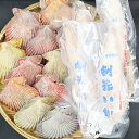 【ふるさと納税】プロトン 活〆 剣先イカ イカ ヒオウギ貝 ...