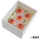 【ふるさと納税】岡山県産 白桃 (早生種)約900g【配達不可:離島】 【果物・もも・桃・フルーツ・モモ・果肉】 お届け:2021年6月下旬~2021年7月中旬