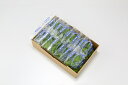 【ふるさと納税】10-03 植物工場産野菜・お徳用12セット(1年契約)1セット×12回